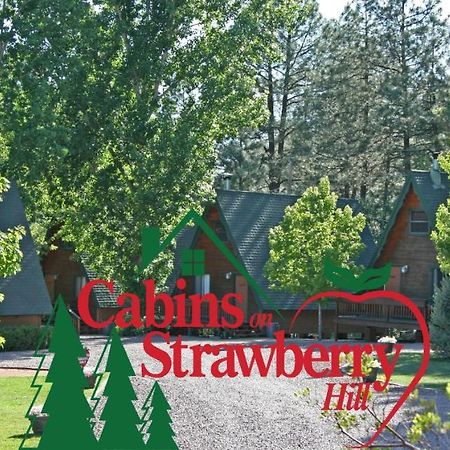 Cabins On Strawberry Hill 호텔 Pine 외부 사진